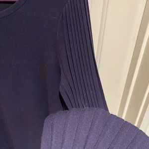 Ann Taylor Navy shift sweater dress with ribbed sleeves.